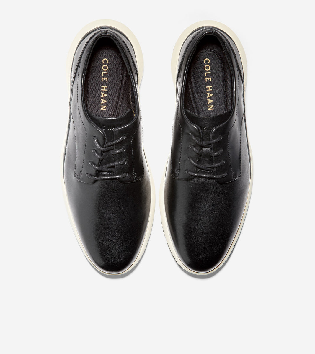 Troy Plain Oxford