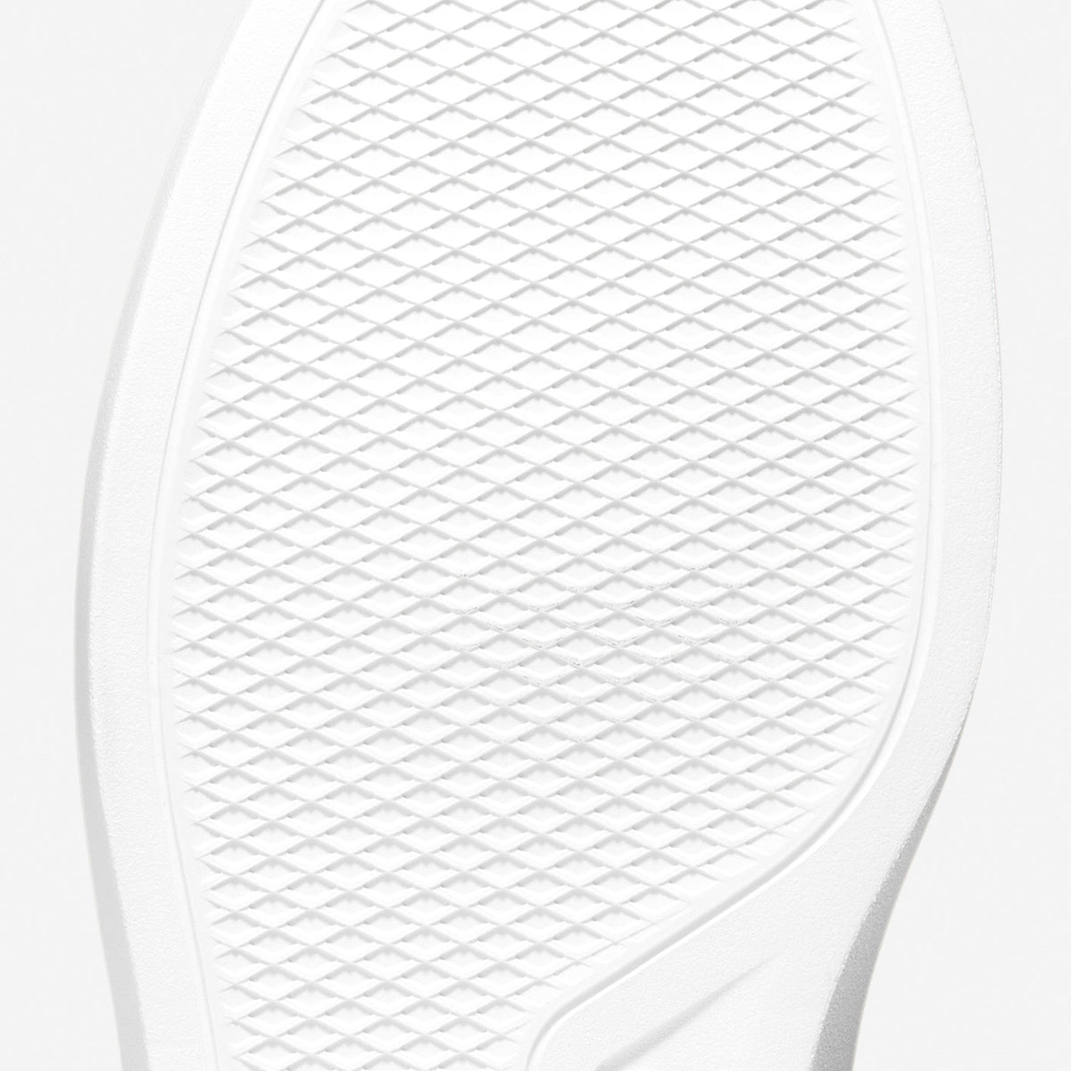 Feature Image 2