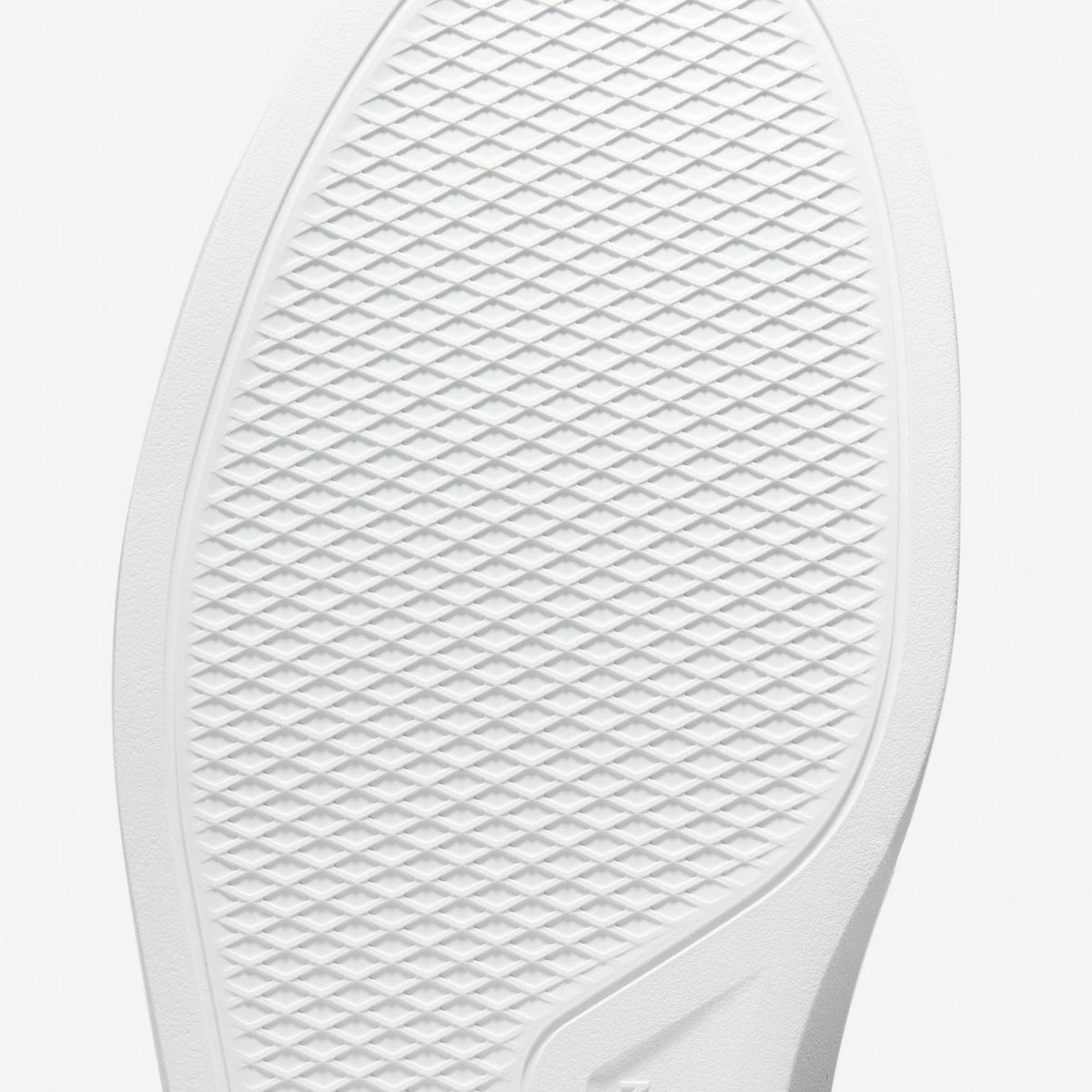 Feature Image 2